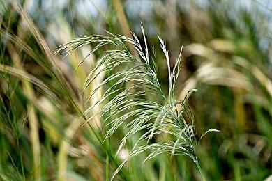 初代《生化危机》的演员们又扮演了一次他们的角色