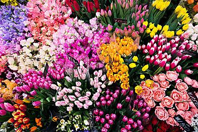 自己动手丰衣足食！民间自制《真人快打1》60帧补丁